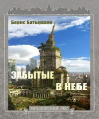 Борис Батыршин - Забытые в небе